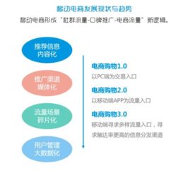 小众移动电商市场调研报告 市场概况与未来发展潜力