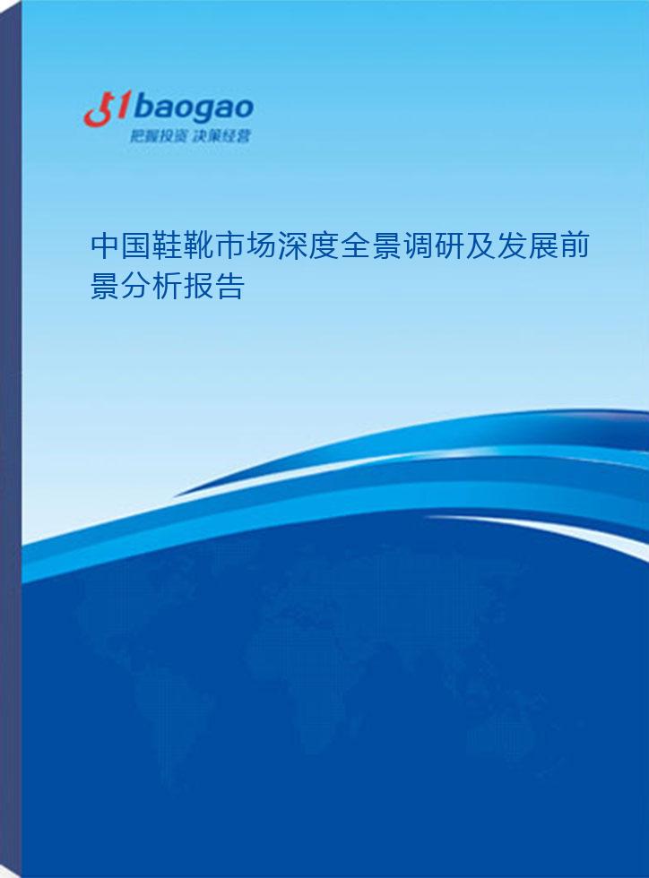 2024-2029年中国鞋靴市场深度全景调研及发展前景分析